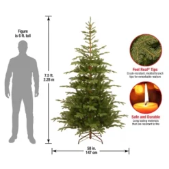 7.5' Unlit Norwegian Spruce Artificial Christmas Tree - National Tree Company -Northlight Decor Sale GUEST 0159d6aa 0ca9 4812 800b 8fe44661a8a2