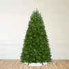 Northlight Pre-Lit Full Northern Pine Artificial Commercial Christmas Tree - 14' - Clear Lights