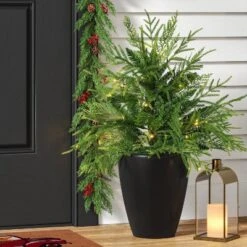 24" Pre-Lit Christmas Norfolk Cedar Artificial Greenery With Ground Stake - Wondershop™
