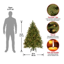 Prelit Feel Real Downswept Douglas Fir Artificial Christmas Tree Clear Lights - National Tree Company -Northlight Decor Sale GUEST 08063c44 cd02 4aea 9c63 a8b73f119de7