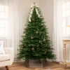Northlight Real Touch™️ Two-Tone River Deer Pine Full Artificial Christmas Tree - 6.5' - Unlit -Northlight Decor Sale GUEST 13f1e0fa 04ce 4a2c a3b6 23a3f803c859