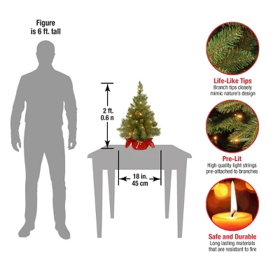 2' Prelit Majestic Spruce Artificial Christmas Tree In Burgundy Cloth Bag Warm White Lights - National Tree Company 5 2' Prelit Majestic Spruce Artificial Christmas Tree In Burgundy Cloth Bag Warm White Lights - National Tree Company - Image 3