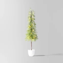 Pre-Lit Potted Balsam Artificial Christmas Tree - Wondershop™ -Northlight Decor Sale GUEST 1b781a07 a754 462f 8db8 e14d97a5da4a