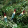 Northlight Mini Christmas Light Set - Clear With Red Tips - 20.25' Green Wire - 100ct -Northlight Decor Sale GUEST 239e2ce0 54c1 4b04 96c6 08e9e294ff2a