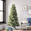 7.5' Full Virginia Pine Artificial Christmas Tree - Wondershop™ 2 7.5' Full Virginia Pine Artificial Christmas Tree - Wondershop™ -Northlight Decor Sale GUEST 25d59280 4675 4bd7 8278 f4f06f3bfb5b