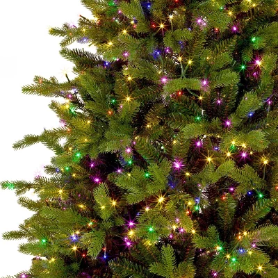 National Tree Company Pre-lit Feel Real Full Princeton Fraser Fir Artificial Christmas Tree With Dual Color LED Lights 3 National Tree Company Pre-lit Feel Real Full Princeton Fraser Fir Artificial Christmas Tree With Dual Color LED Lights