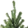 Northlight Canadian Pine Medium Artificial Christmas Tree - 5' - Unlit 2 Northlight Canadian Pine Medium Artificial Christmas Tree - 5' - Unlit -Northlight Decor Sale GUEST 2c7a7082 d7ac 40f4 8d30 a0bc23e31db0