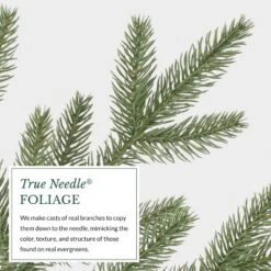 Balsam Hill 7.5' Clear LED Stratford Spruce Tree 19 Balsam Hill 7.5' Clear LED Stratford Spruce Tree -Northlight Decor Sale GUEST 2d46bb7c 3dda 4917 bc8d c2880645f827