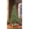 Puleo 6.5ft Pre-lit Artificial Christmas Tree Alaskan Fir: Hinged Branches, 500 Clear Lights, Indoor Use, Includes Stand -Northlight Decor Sale GUEST 2fb8b0f6 7caf 4206 add7 6e6be54566ba