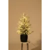 Acekool 3 Ft Pre-Lit Tree, Artificial Tree With Lighting, Compact Holiday Decoration For Home Or Office, Easy Assembly -Northlight Decor Sale GUEST 35e22684 b8d1 444b beb6 2adcf13a8ee6