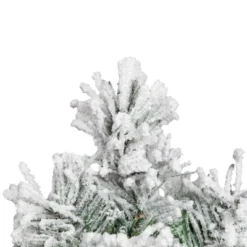 Northlight Full Flocked Angel Pine Artificial Mini Christmas Tree - 24" - Unlit 9 Northlight Full Flocked Angel Pine Artificial Mini Christmas Tree - 24" - Unlit -Northlight Decor Sale GUEST 3656ea20 cdd0 41b4 baab 2e0a2d4a7b00