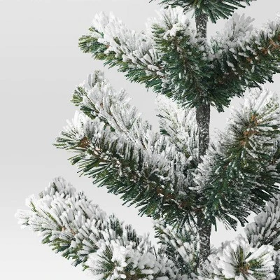 Northlight Decor Sale -Northlight Decor Sale GUEST 436798d7 c2fc 4674 a179 17038717054d 1