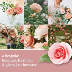 Original Large Jar Candle 22oz - Yankee Candle -Northlight Decor Sale GUEST 44c490ef e859 4359 84d7 b2e514761195