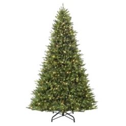 6.5ft Pre-lit Forest Fir Artificial Christmas Tree - Puleo: Incandescent Lights, Easy Setup -Northlight Decor Sale GUEST 4a7988a2 d9e5 45d4 94d3 5b7de634f4ea