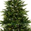 National Tree Company Pre-lit Feel Real Festive Fern Artificial Christmas Tree With Clear Lights -Northlight Decor Sale GUEST 4ad2f1c4 8e32 47b6 bfc6 f77f930e24e1