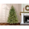 National Tree Company 7.5' Pre-lit Frasier Grande Artificial Christmas Tree -Northlight Decor Sale GUEST 4be7e49d 0e75 45f5 8146 8d780a5af1da