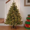 Prelit Feel Real Downswept Douglas Fir Artificial Christmas Tree Clear Lights - National Tree Company 2 Prelit Feel Real Downswept Douglas Fir Artificial Christmas Tree Clear Lights - National Tree Company -Northlight Decor Sale GUEST 4bea7ee9 8289 4770 8614 88852c30f880