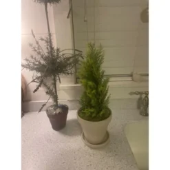 Northlight 1.4 FT Upswept Frosted Cedar Artificial Christmas Tree - Unlit -Northlight Decor Sale GUEST 4c5aa6a2 a6e3 4335 ab93 bfbe41a4afa2