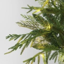 24" Pre-Lit Christmas Norfolk Cedar Artificial Greenery With Ground Stake - Wondershop™ -Northlight Decor Sale GUEST 517b159a ab98 4251 ad4a 9a78c2d8852a