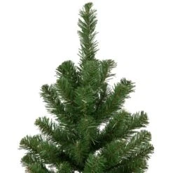 Northlight Blackwater Fir Medium Artificial Christmas Tree - 3' - Unlit -Northlight Decor Sale GUEST 5689b9ec 7f4a 4ae8 ad82 ed148ceca7c6