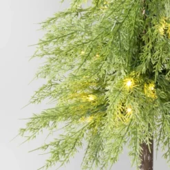 Pre-Lit Potted Balsam Artificial Christmas Tree - Wondershop™ -Northlight Decor Sale GUEST 5d9ddf88 42c8 4d7d 88ad 8a538f9a5403