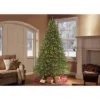 6.5ft Pre-lit Forest Fir Artificial Christmas Tree - Puleo: Incandescent Lights, Easy Setup -Northlight Decor Sale GUEST 731b3247 22a1 4b67 8220 9de91d3c690f