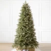 Balsam Hill 6.5' Clear LED Stratford Spruce Tree 1 Balsam Hill 6.5' Clear LED Stratford Spruce Tree -Northlight Decor Sale GUEST 76869c45 93f7 4ee9 8e30 fc27afa5c3a1