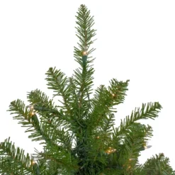 Northlight Pre-Lit Full Northern Pine Artificial Commercial Christmas Tree - 14' - Clear Lights 11 Northlight Pre-Lit Full Northern Pine Artificial Commercial Christmas Tree - 14' - Clear Lights -Northlight Decor Sale GUEST 76e4c885 54cd 409b bce4 6c5a32471c99