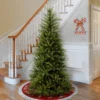 National Tree Company 6.5ft National Christmas Tree Company Dunhill Fir Artificial Christmas Tree: Slim Profile, Indoor, PVC Material, Includes Stand -Northlight Decor Sale GUEST 78ad2370 5736 4802 bd06 6bed1f52146c