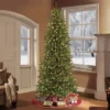 7.5ft Pre-lit Artificial Christmas Tree Forest Fir - Puleo 2 7.5ft Pre-lit Artificial Christmas Tree Forest Fir - Puleo -Northlight Decor Sale GUEST 8673df03 69f7 441f b015 6a0dd5464d00