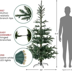 Northlight Real Touch™️ Pre-Lit Pencil Nordmann Fir Artificial Christmas Tree - 6.5' - Warm Clear LED Lights -Northlight Decor Sale GUEST 87532dff cf00 4625 b499 805197cce026
