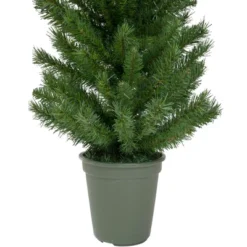 Northlight 4' Potted Virginia Pine Walkway Slim Artificial Christmas Tree - Unlit -Northlight Decor Sale GUEST 975bc0b7 5b18 4dd1 9808 136bc2d036eb