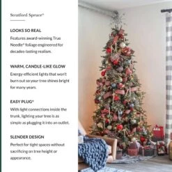 Balsam Hill 7.5' Clear LED Stratford Spruce Tree 18 Balsam Hill 7.5' Clear LED Stratford Spruce Tree -Northlight Decor Sale GUEST 977e6968 8d65 441d 887f a36baaae01cb