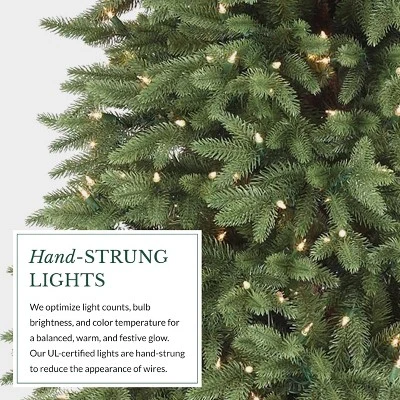 Balsam Hill 7.5' Clear LED Stratford Spruce Tree 10 Balsam Hill 7.5' Clear LED Stratford Spruce Tree - Image 8