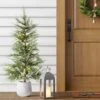 4.5' Pre-Lit Potted Balsam Artificial Christmas Tree - Wondershop™ -Northlight Decor Sale GUEST a14137f4 8511 4e22 b2c4 5326d8863a04