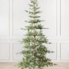 Balsam Hill Pre-Lit Alpine Balsam Artificial Christmas Tree -Northlight Decor Sale GUEST a337a7d6 7e79 4acc abe0 0cde88a29a11