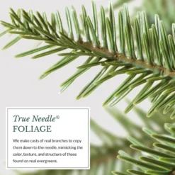 Balsam Hill Pre-Lit Alpine Balsam Artificial Christmas Tree -Northlight Decor Sale GUEST a4df95e2 bcc8 4a39 b05a 923bfa6ce609