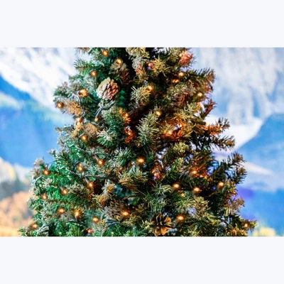 Novelty Lights 11 Feet Long, 50 Mini Black Wire Christmas Lights, End To End Connectable, UL Listed For Indoor/Outdoor Use 7 Novelty Lights 11 Feet Long, 50 Mini Black Wire Christmas Lights, End To End Connectable, UL Listed For Indoor/Outdoor Use - Image 5