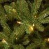 National Tree Company 10' Pre-lit Full Natural Fraser Fir Artificial Christmas Tree With Clear Lights 1 National Tree Company 10' Pre-lit Full Natural Fraser Fir Artificial Christmas Tree With Clear Lights -Northlight Decor Sale GUEST a65786d2 8d3c 4527 b509 82acd7191ccd