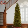 Prelit Slim Feel Real Downswept Douglas Fir Artificial Christmas Tree Clear Lights - National Tree Company 2 Prelit Slim Feel Real Downswept Douglas Fir Artificial Christmas Tree Clear Lights - National Tree Company -Northlight Decor Sale GUEST aba75a1b 58ca 4c1d 9bcc 8f31cc9572f5