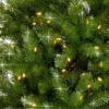 National Tree Company 7.5' Pre-lit Dunhill Shimmer Fir Artificial Christmas Tree -Northlight Decor Sale GUEST aefd606c 0f3f 446c b0c8 b3bb9de46cdc