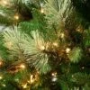 National Tree Company First Traditions Pre-Lit Charleston Pine Hinged Artificial Christmas Tree Clear Lights 2 National Tree Company First Traditions Pre-Lit Charleston Pine Hinged Artificial Christmas Tree Clear Lights -Northlight Decor Sale GUEST b1db2a13 18f8 49fb 96b1 79cf4605e666