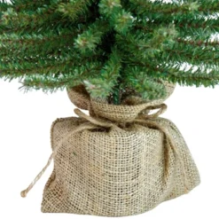 Northlight 1.5 FT Potted Downswept Mini Village Pine Medium Artificial Christmas Tree, Unlit -Northlight Decor Sale GUEST b94e2342 0307 493e b011 430856425892