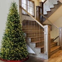 National Tree Company 10' Pre-lit Full Natural Fraser Fir Artificial Christmas Tree With Clear Lights -Northlight Decor Sale GUEST bfa8369b f7ea 47c3 a784 8f2de707baea