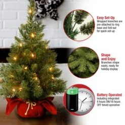 2' Prelit Majestic Spruce Artificial Christmas Tree In Burgundy Cloth Bag Warm White Lights - National Tree Company 9 2' Prelit Majestic Spruce Artificial Christmas Tree In Burgundy Cloth Bag Warm White Lights - National Tree Company -Northlight Decor Sale GUEST c3b25774 7c1c 49ef 95e4 96c1827c38ad