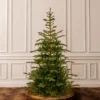 7.5' Unlit Norwegian Spruce Artificial Christmas Tree - National Tree Company -Northlight Decor Sale GUEST cbba9e01 ada0 46b2 9dff 3f08a23da456
