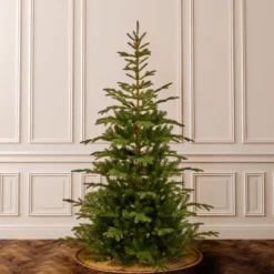 7.5' Unlit Norwegian Spruce Artificial Christmas Tree - National Tree Company