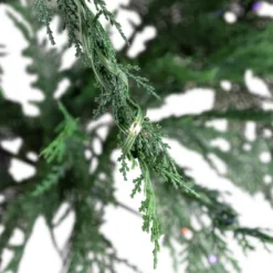 Northlight Pre-Lit Medium Weeping Cedar IPT Artificial Christmas Tree - 6.5' - Dual Color LED Lights -Northlight Decor Sale GUEST d1c63646 f460 4a3a 8c6c 8fbb6bfcea87