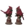 Transpac Light Up Holiday Cardinal Set Of 2 Decorative Resin Christmas Home Decorations On Pedestal -Northlight Decor Sale GUEST e25b6418 ac6c 4938 9e49 9a9e4c8a5228