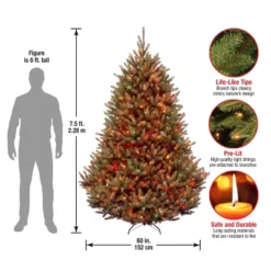 7.5' Prelit Natural Fraser Fir Artificial Christmas Tree Multicolor Lights - National Tree Company -Northlight Decor Sale GUEST e5eeffdd 3081 458f 9b3c f37835a9bab7
